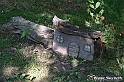 VBS_4818 - Il bosco fatato - Montaldo Roero